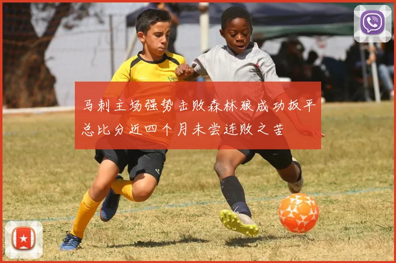 马刺主场强势击败森林狼成功扳平总比分近四个月未尝连败之苦